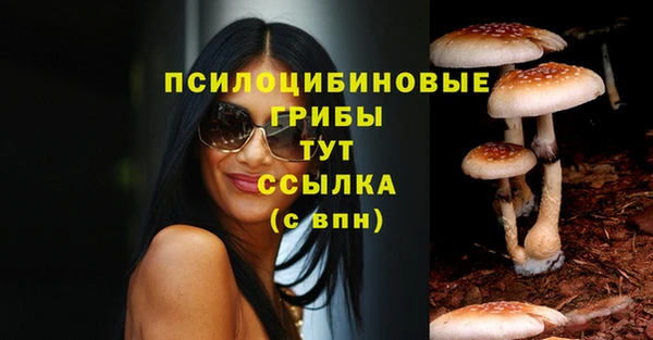 бутират Алзамай