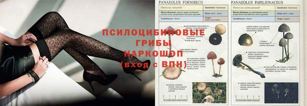бутират Алзамай