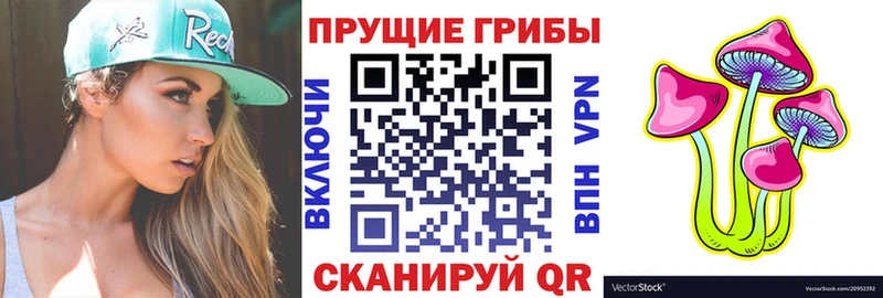 купить наркотики сайты  Кукмор  Галлюциногенные грибы мицелий 